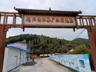 【灌阳县油茶产业示范区】一个有着充实的精神生活的人,对待身外之物自会有一种淡泊的态度 - 昌都28生活网 changdu.28life.com