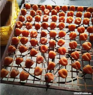 广西桂林平乐桥亭【柿饼之乡】2025年纯手工制作、无任何添加剂的第一批柿饼准备上市了，欢迎联系订购！ - 昌都28生活网 changdu.28life.com