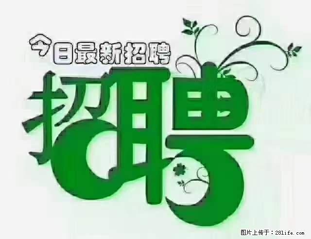 上海青浦区招仓管 - 职场交流 - 昌都生活社区 - 昌都28生活网 changdu.28life.com