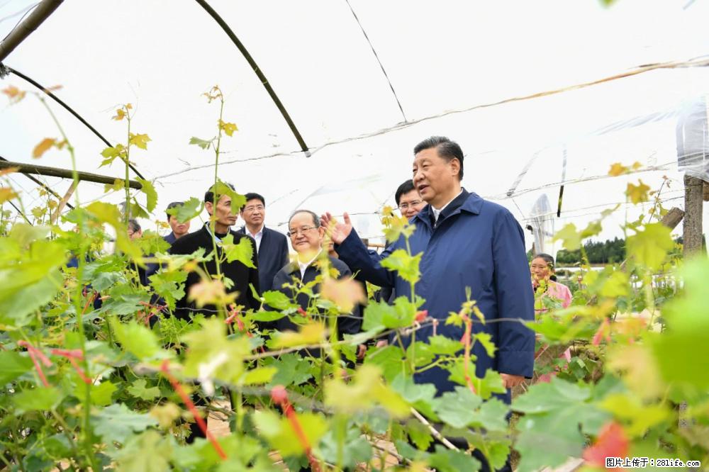 习近平赴广西考察调研 - 昌都生活资讯 - 昌都28生活网 changdu.28life.com