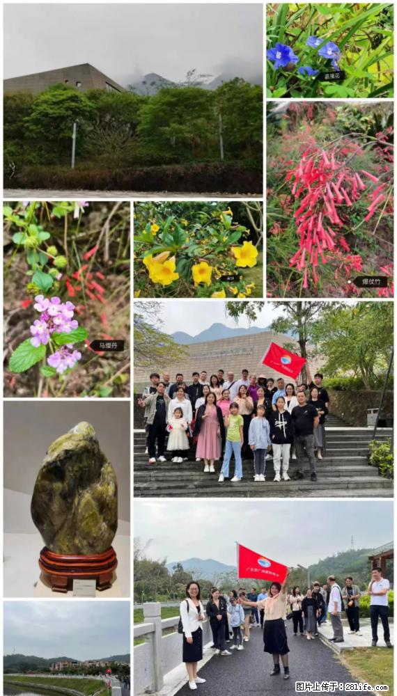 “粤灌文化 美好生活”油茶文化主题活动在广东深圳成功举办 - 昌都生活资讯 - 昌都28生活网 changdu.28life.com