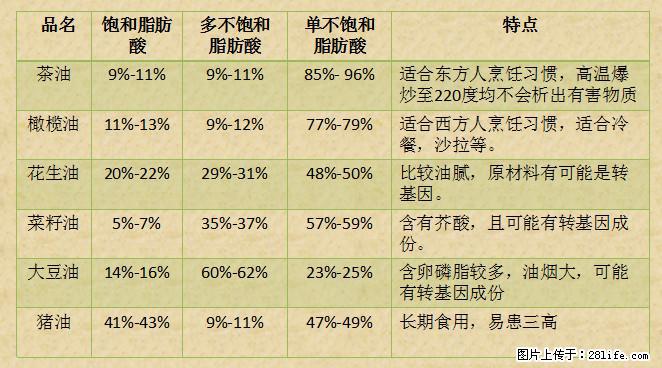 揭秘茶油的5大核心营养成分!被称为人体健康的“守护盾”! - 昌都生活资讯 - 昌都28生活网 changdu.28life.com