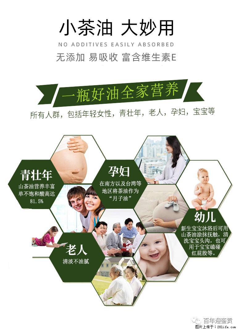 世界没有真相,只有认知,最好的食用油是中国的山茶油! - 昌都生活资讯 - 昌都28生活网 changdu.28life.com