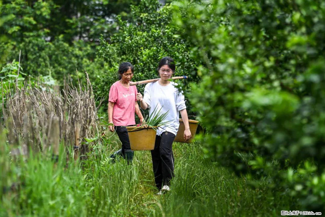 全网追的“扁担女孩”,找了一份暑假工,时薪12元 - 昌都生活资讯 - 昌都28生活网 changdu.28life.com
