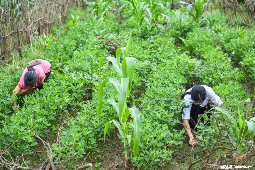 全网追的“扁担女孩”,找了一份暑假工,时薪12元 - 昌都生活资讯 - 昌都28生活网 changdu.28life.com