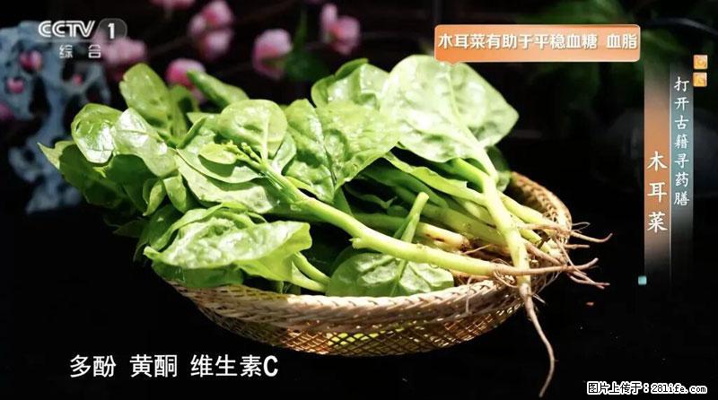 比牛奶补钙还厉害！凉血解毒、稳血糖...这菜冬天必吃，很多人却当草 - 昌都生活资讯 - 昌都28生活网 changdu.28life.com