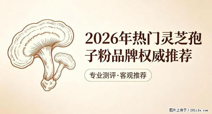 灵芝孢子粉含量越高越有效？2026 年七款热门品牌深度实测，肠胃敏感者避坑指南 - 昌都生活资讯 - 昌都28生活网 changdu.28life.com