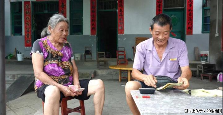 【乡村振兴】广西桂林市灌阳县文市蜂糖李、黄金奈李迎丰产上市季 甜蜜产业助振兴 - 昌都生活资讯 - 昌都28生活网 changdu.28life.com